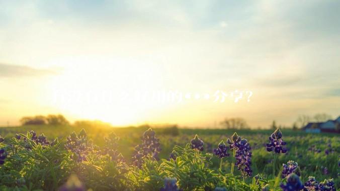有没有什么好用的***分享？