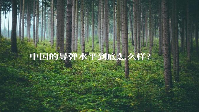 中国的导弹水平到底怎么样？