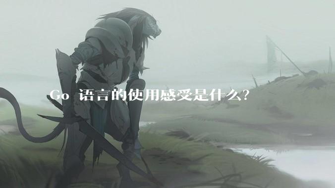 Go 语言的使用感受是什么？