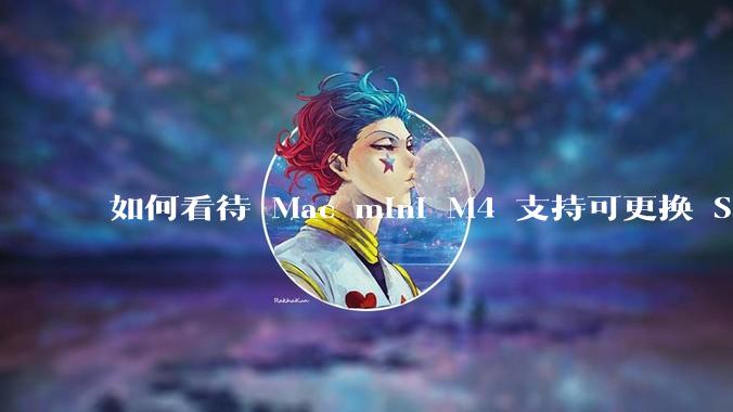 如何看待 Mac mini M4 支持可更换 SSD？