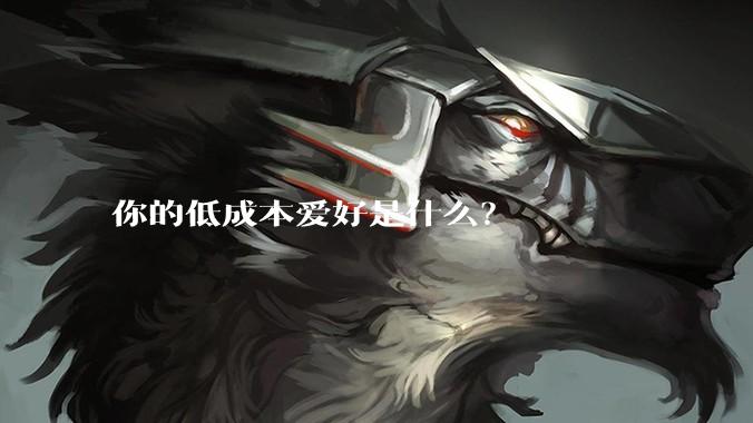 你的低成本爱好是什么？