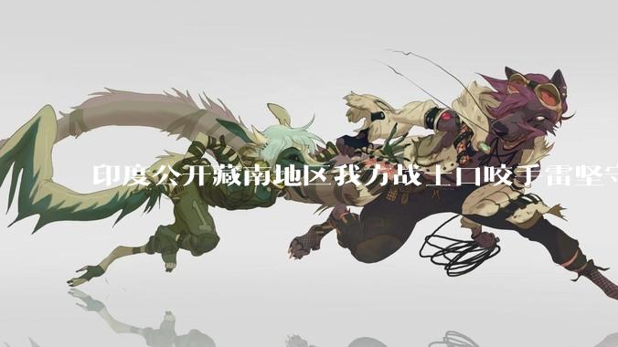 印度公开藏南地区我方战士口咬手雷坚守的***，是想表达什么？